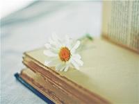 低成本創業項目，第四個現在最火爆！