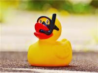 默樊網絡筆記：網絡上怎么賺錢？這3個賺錢方式目前最穩妥！