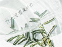 在手機上怎么賺錢？打造IP是長久賺錢的不二法門！